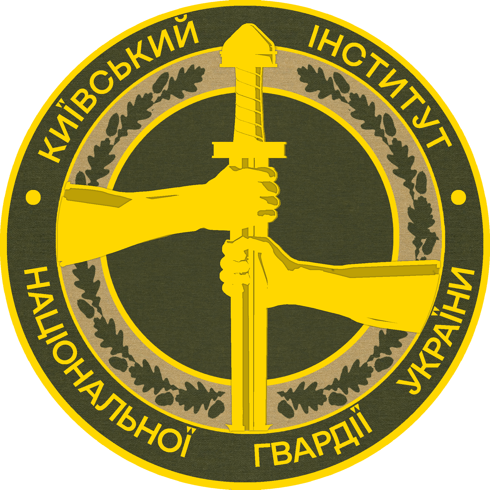 Досвід з передової: у Київському інституті НГУ відбулося бінарне заняття за участю офіцера бригади «Азов»